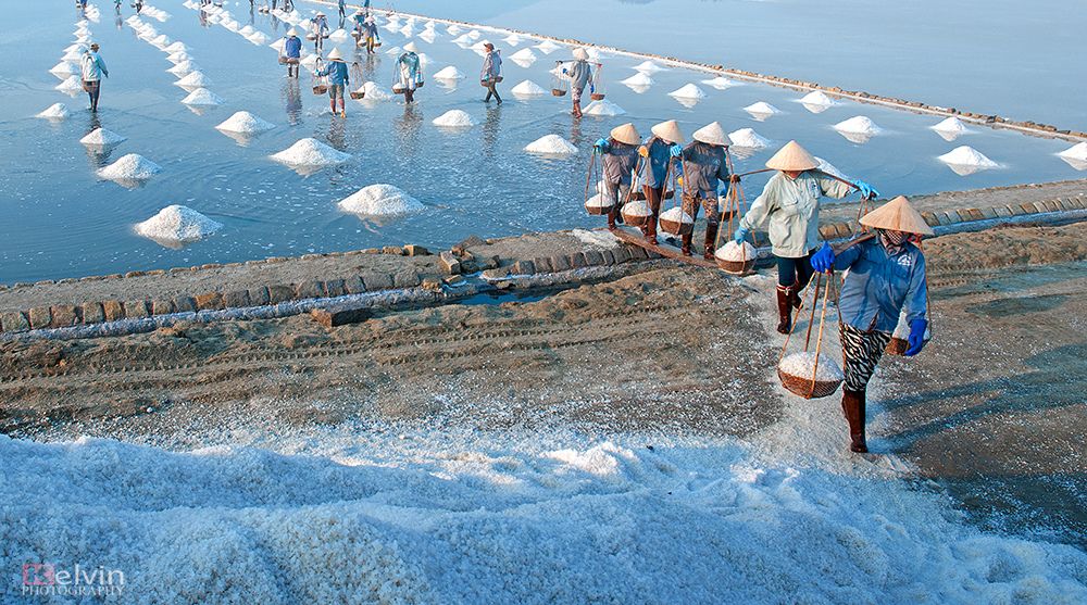 Nghề làm muối ở Ninh Thuận