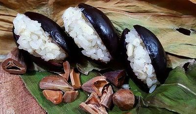Mùa thu - mùa trám rụng