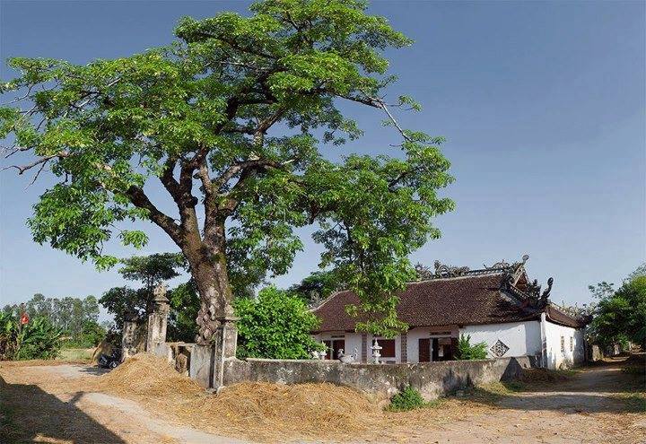 Đình Liên Trì cần sớm được tôn tạo