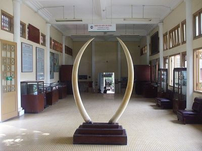 Xã hội hóa hoạt động Bảo tàng ở thành phố Hồ Chí Minh