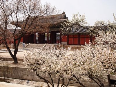 Seoul - Điều kỳ diệu trên sông Hàn
