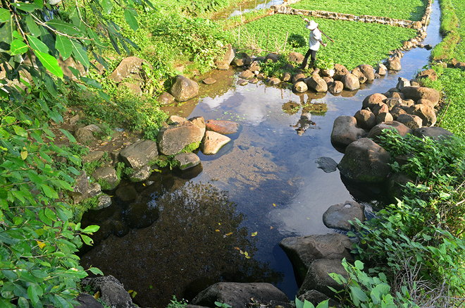 Giếng cổ Gio An