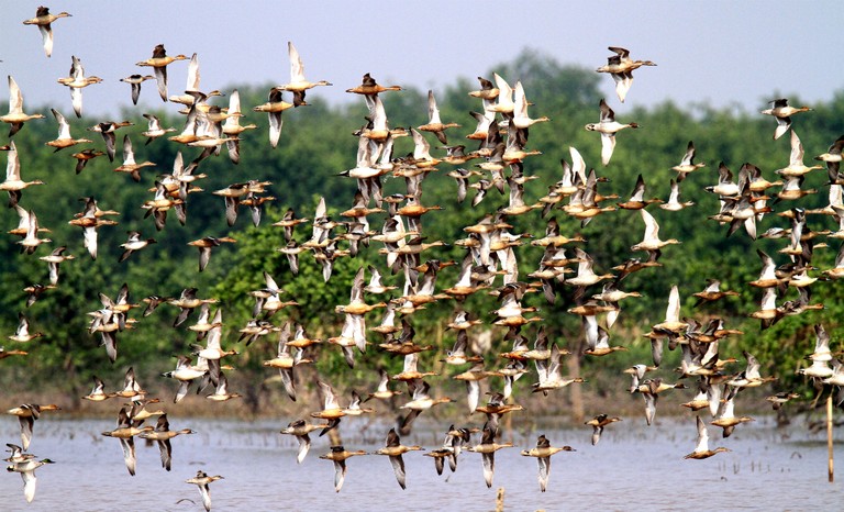 Vườn Quốc gia Xuân Thủy