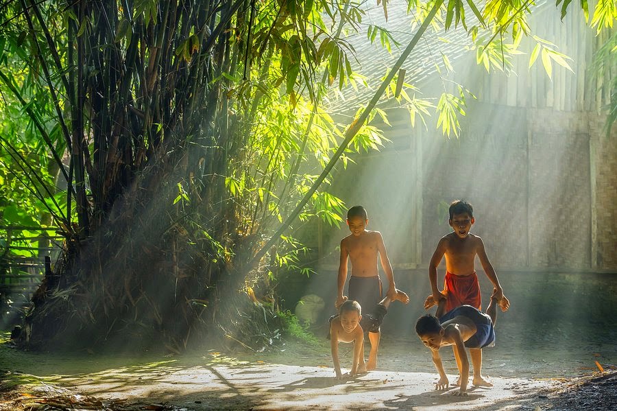 Cây tre trong lòng người Việt