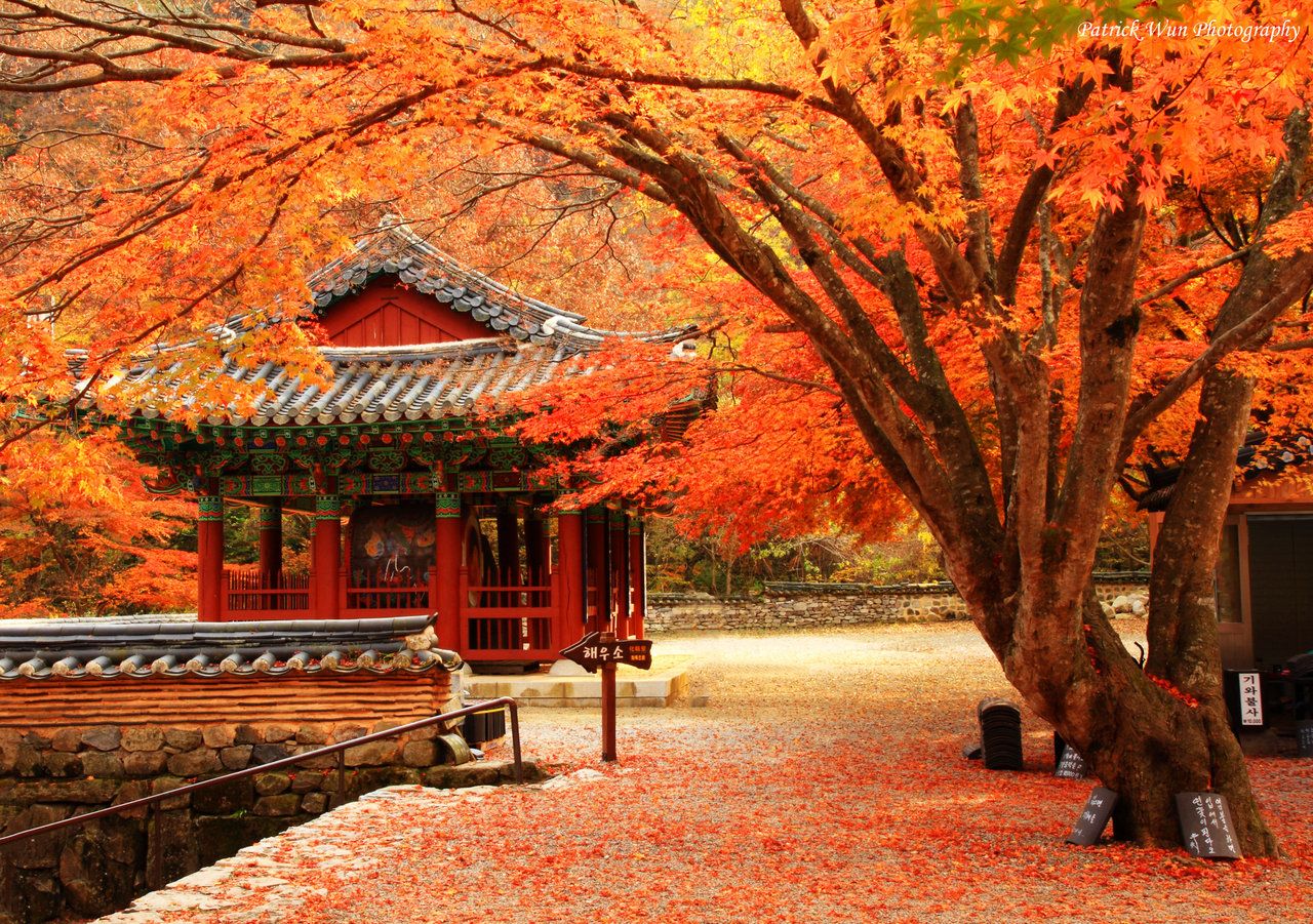 Thăm Đông Đại Tự (Todaiji) ở thành phố Nara, Nhật Bản
