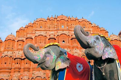 Thành phố hồng Jaipur