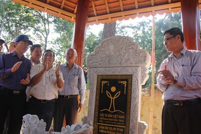 Gắn biển Cây Di sản Việt Nam cho 'Vương quốc Pơ mu'