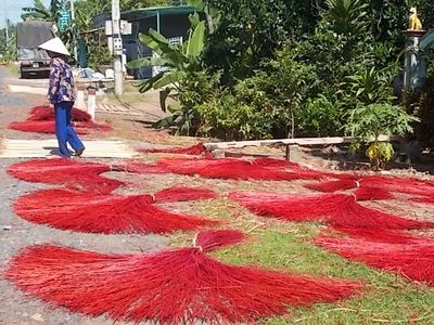 Hồi sinh làng chiếu Định Yên