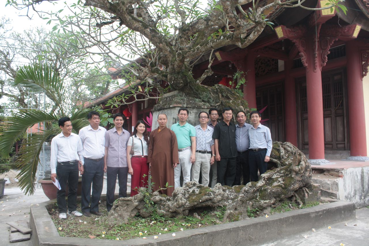 Quy chế xét công nhận Cây Di tích lịch sử văn hóa Việt Nam