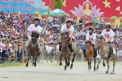 Hội đua ngựa Bắc Hà 2016