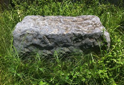 Đi tìm nguồn gốc lịch sử và ông Tổ nghề đan cói Chi Lăng