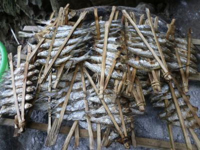 Những món đặc sản không thể bỏ qua khi đến hồ Ba Bể