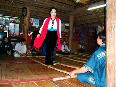 Vài nét về người Thái ở nước ta