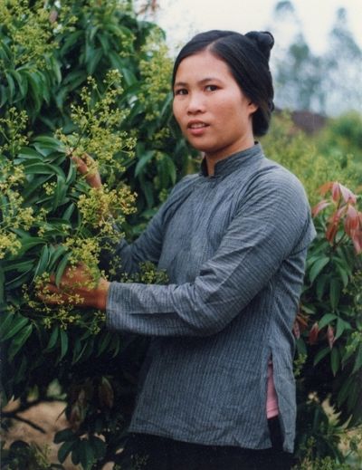 Người Ngái ở Việt Nam