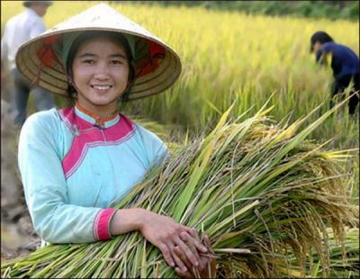 Người Giáy ở Việt Nam