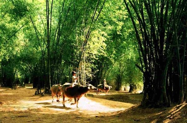 Những đặc trưng của làng Việt trong tâm thức người Việt