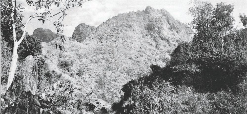 anh1 (2).jpg