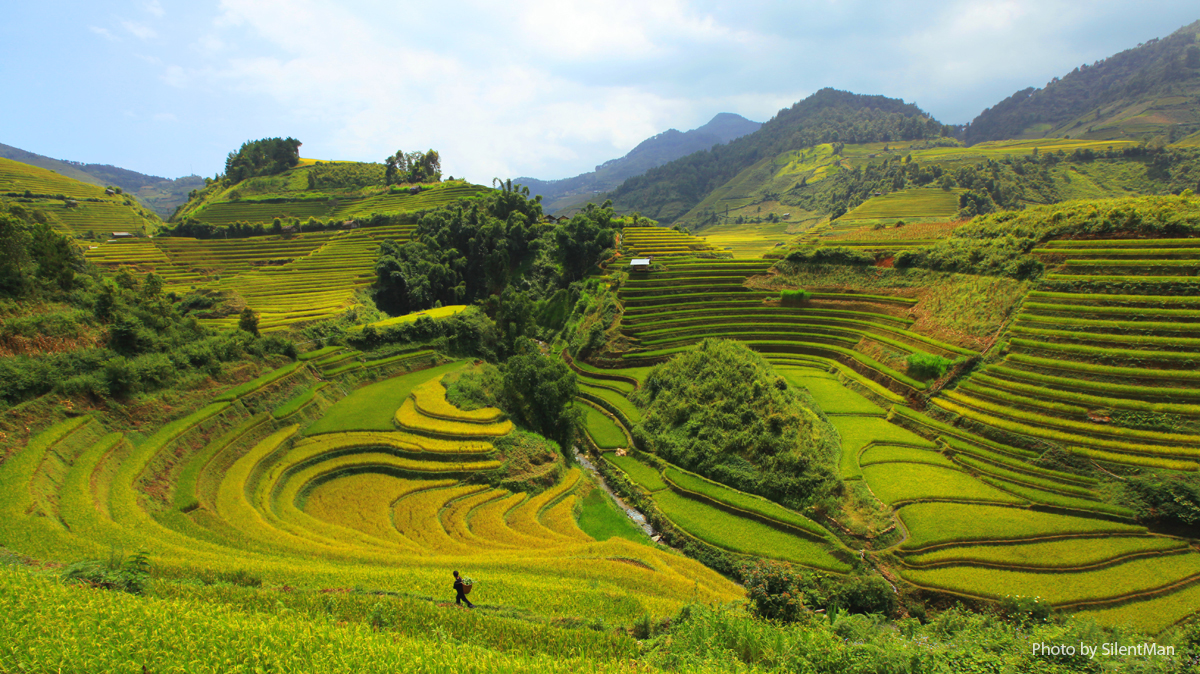 Tổng quan di sản văn hóa tỉnh Thanh Hóa
