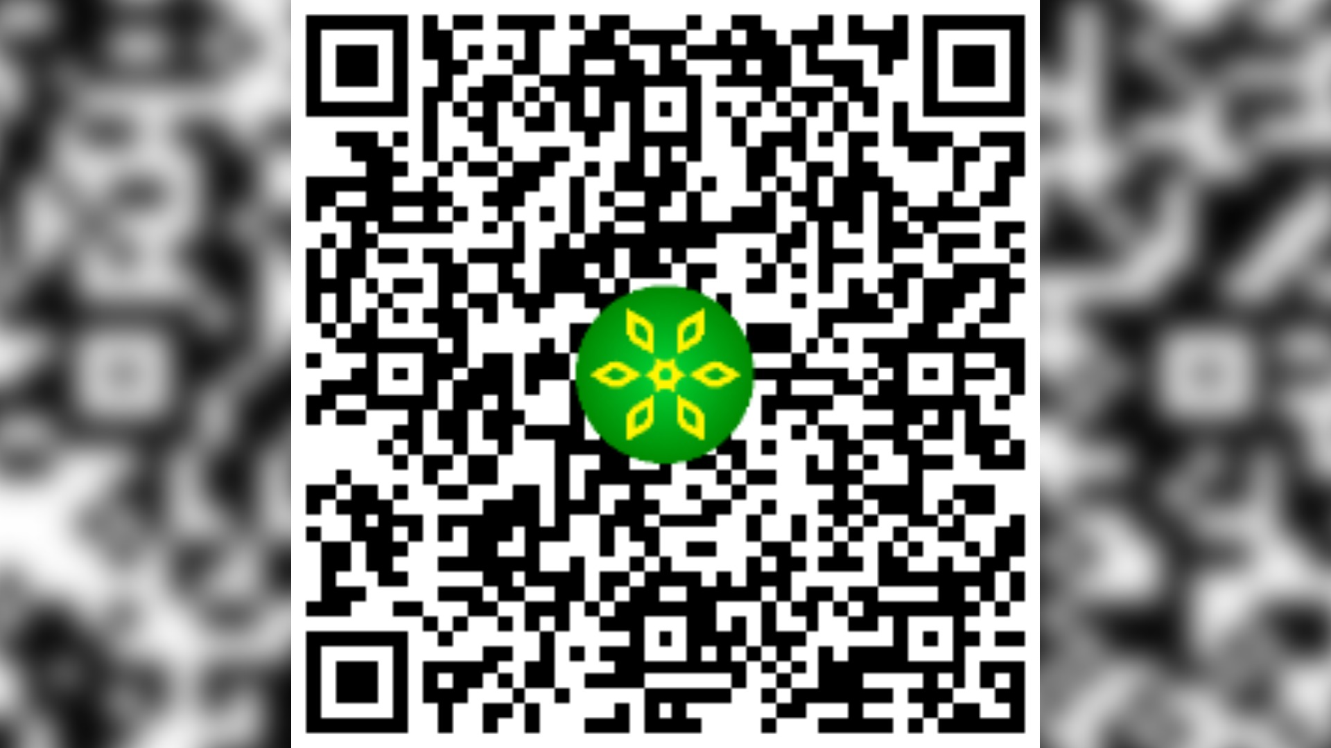 pho-co-dong-van-qr_16x9.jpg