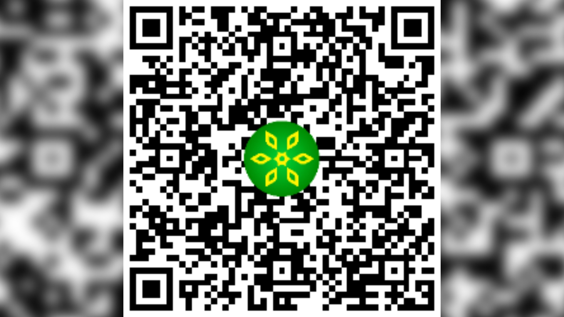 di-tich-danh-lam-thang-canh-dong-hua-ma-qr_16x9.jpg