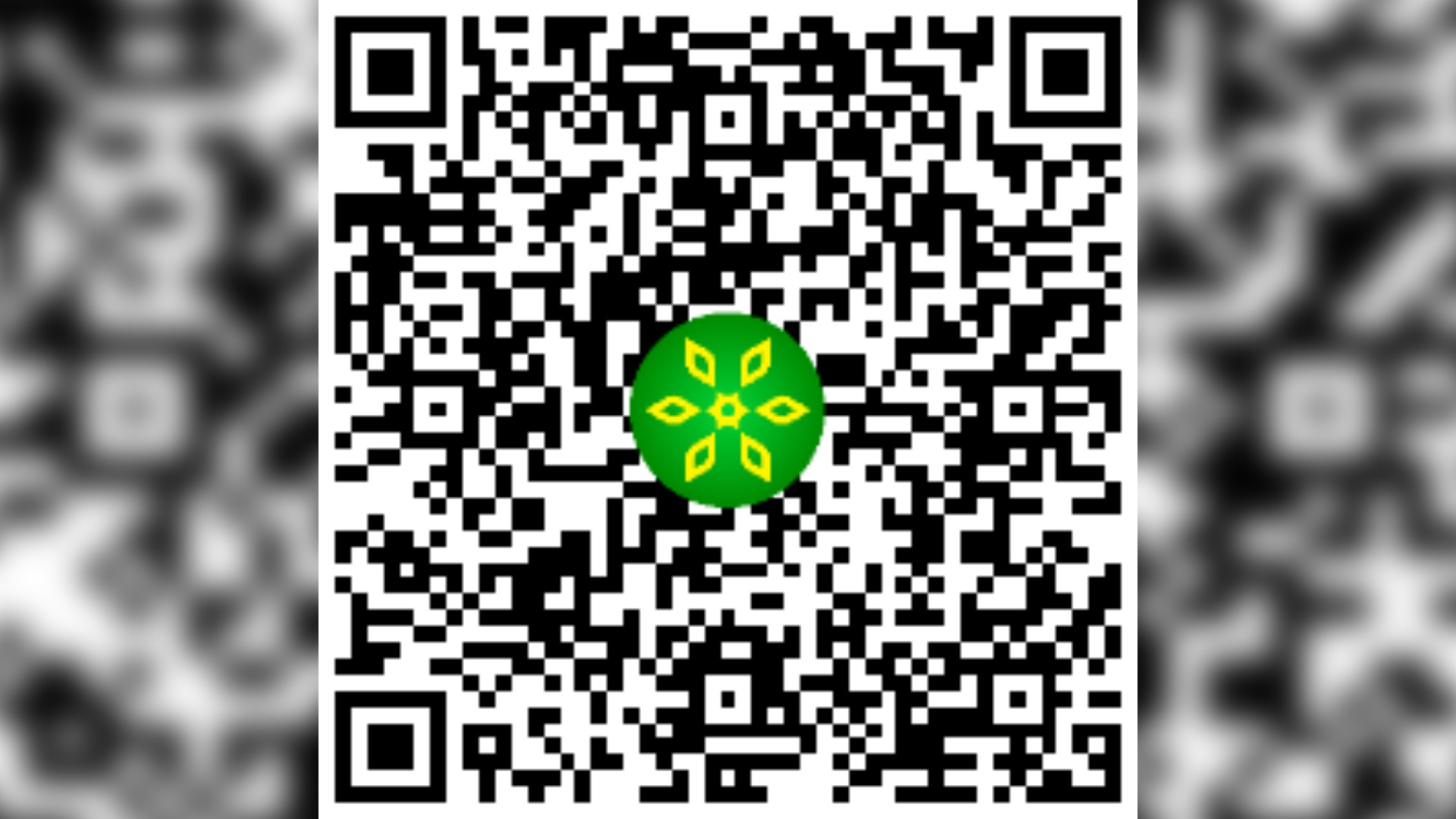 di-tich-quoc-gia-dac-biet-dia-dao-vinh-moc-va-he-thong-lang-ham-vinh-linh-qr_16x9.jpg