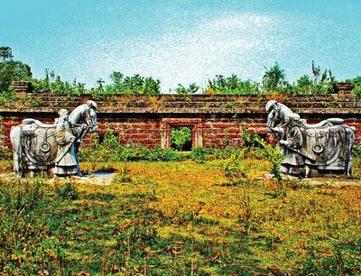 Ngựa làm quen và trở thành bản sắc Việt